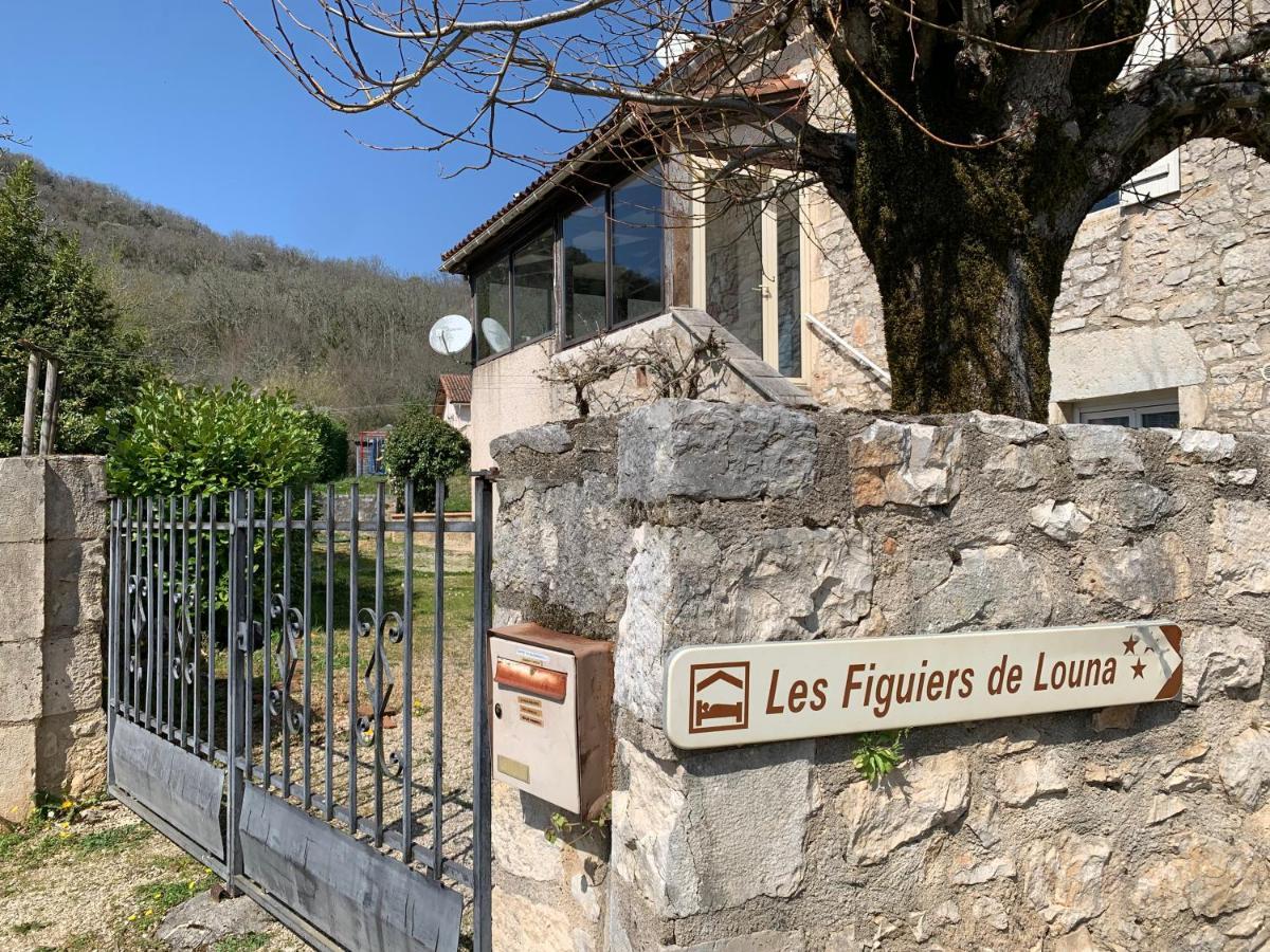 Les Figuiers De Louna - Pierre Ensoleillee - 110 M2 Et Une Veranda Saint-Géry Dış mekan fotoğraf